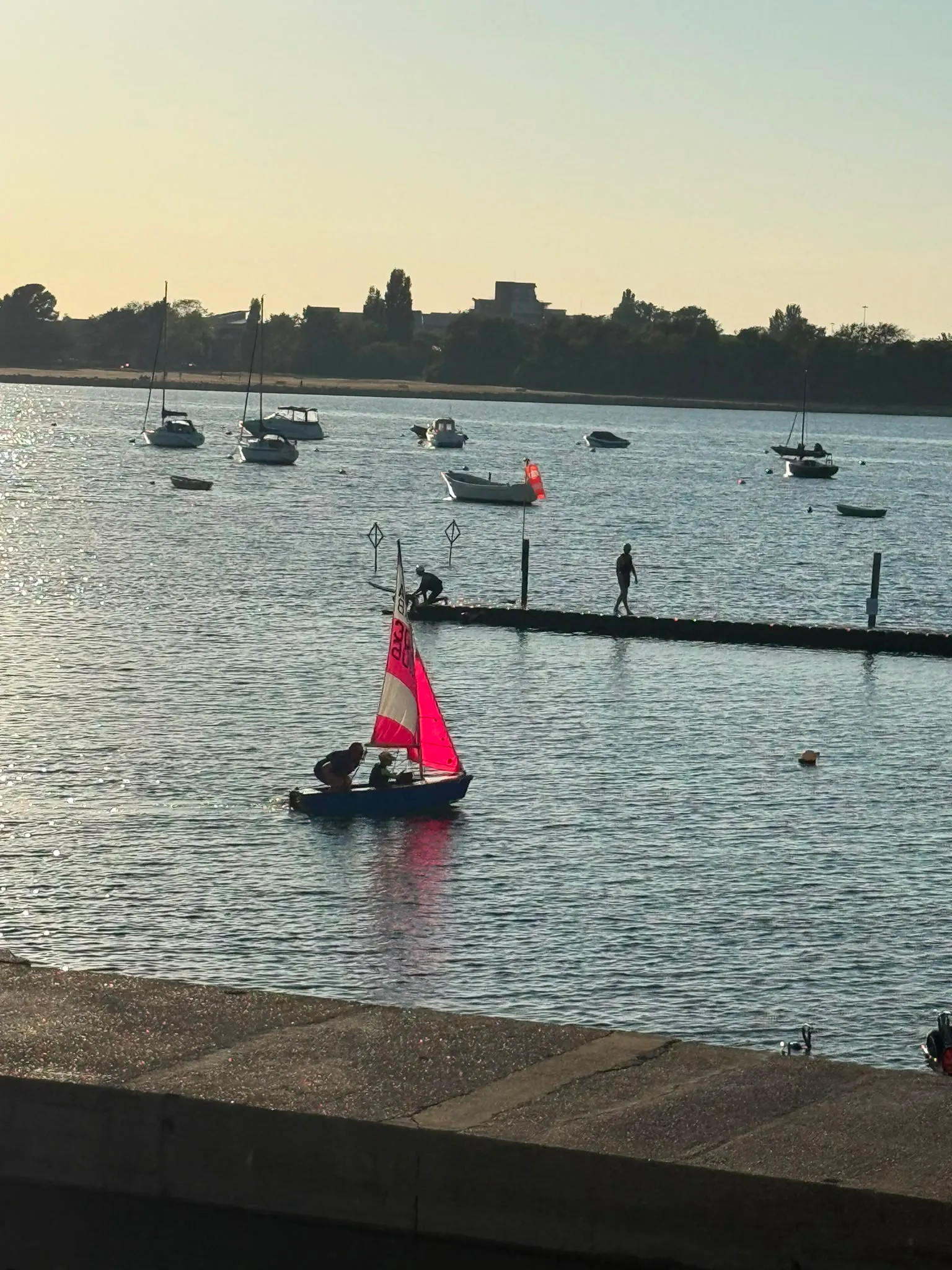 Boat 306 coming in after an evening sail